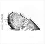фото Coldplay - The Scientist
