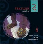 фото Pink Floyd - Learning To Fly
