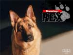фото Комиссар Рэкс (Kommissar Rex)