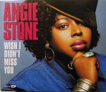 фото Angie Stone - Wish I Didn't Miss You 