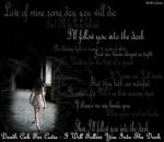 фото Death Cab for Cutie - I Will Follow You Into The Dark